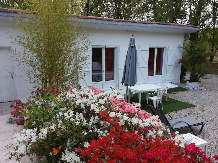 Chalet A Louer Pres De Dax Mées Exterior foto